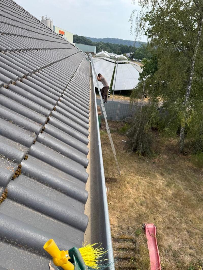 Gebäudereinigung